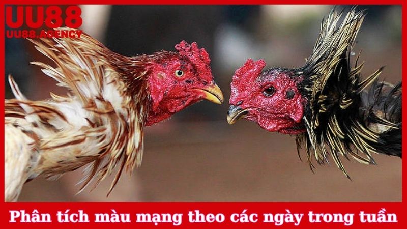 Cách phân tích màu mạng theo các ngày trong tuần