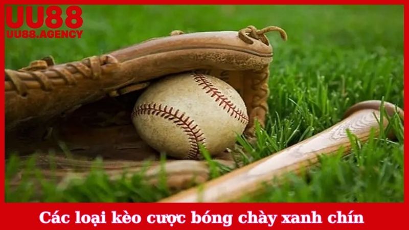 Các loại kèo cược bóng chày xanh chín